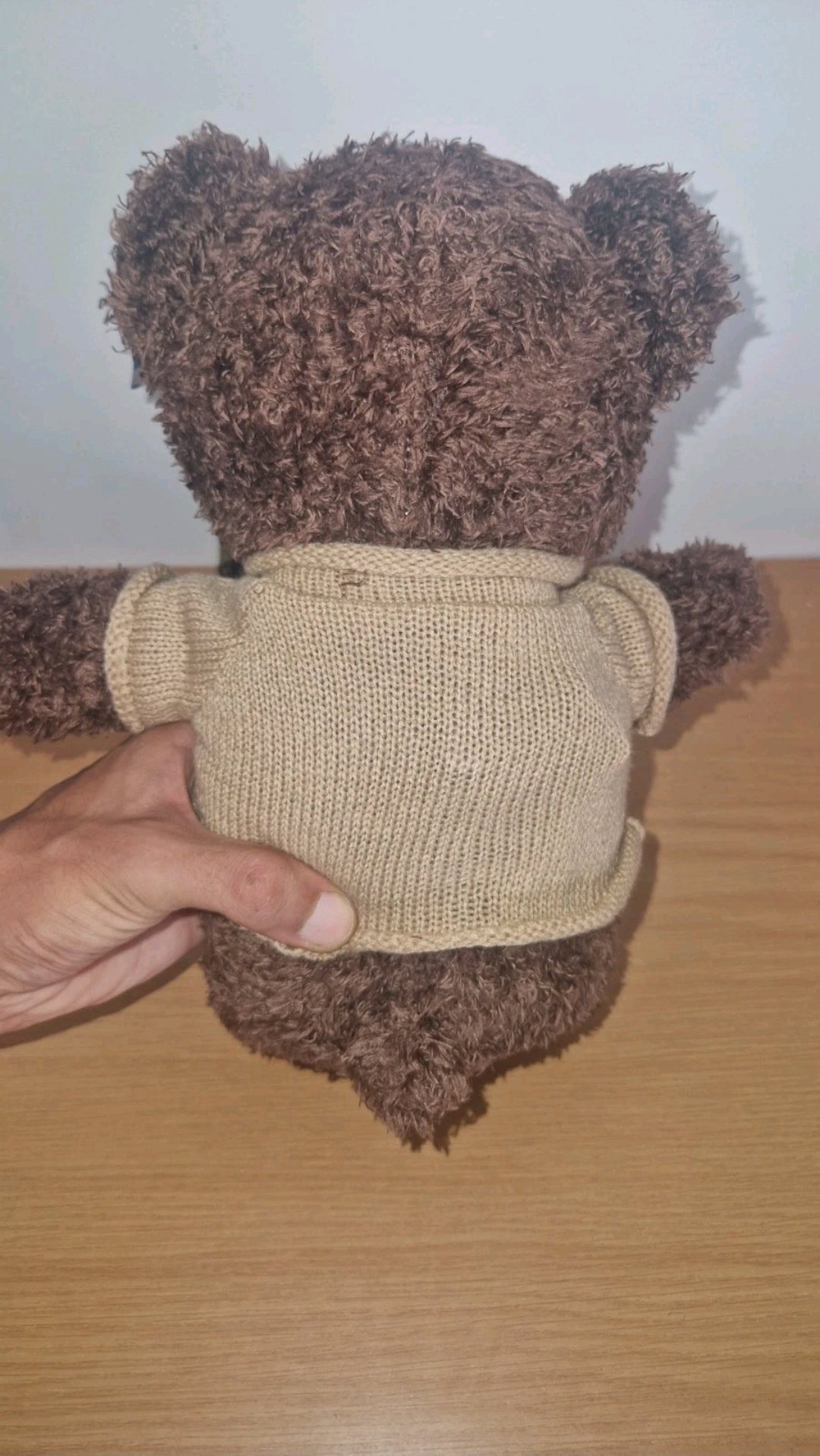 Caméra Ours En Peluche 4K Wifi Vision En Direct Par Application VTCWORLD
