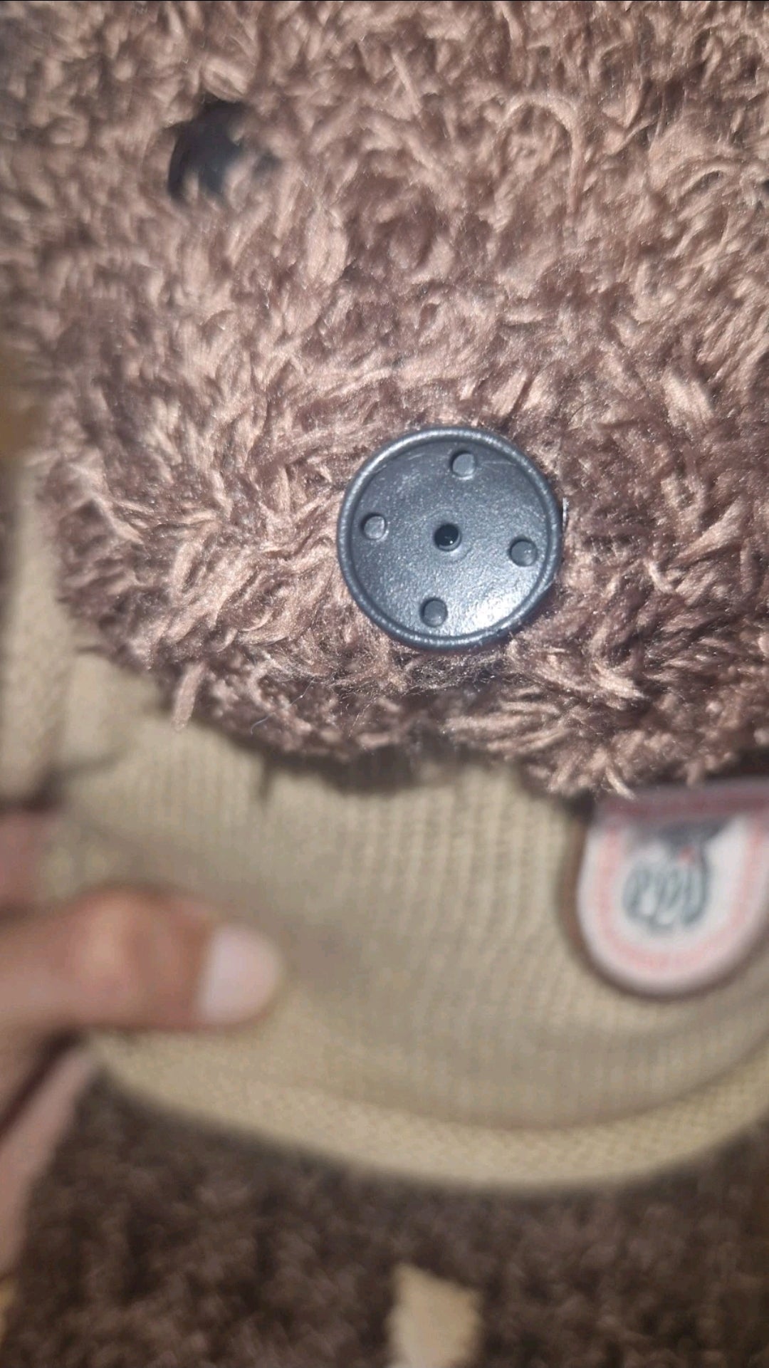 Caméra Ours En Peluche 4K Wifi Vision En Direct Par Application VTCWORLD