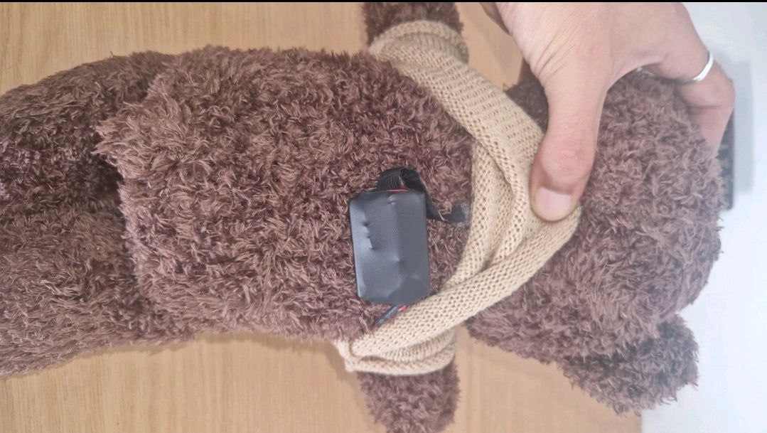 Caméra Ours En Peluche 4K Wifi Vision En Direct Par Application VTCWORLD