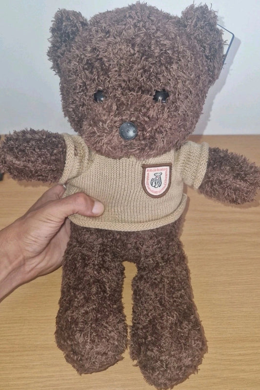 Caméra Ours En Peluche 4K Wifi Vision En Direct Par Application VTCWORLD